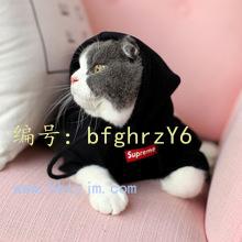 ũҵ