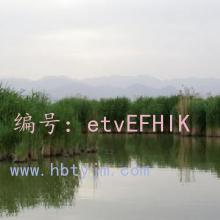 ļ