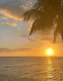 ļ