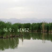 ļ